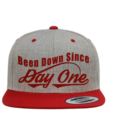 Been Down Since Day One Snapback